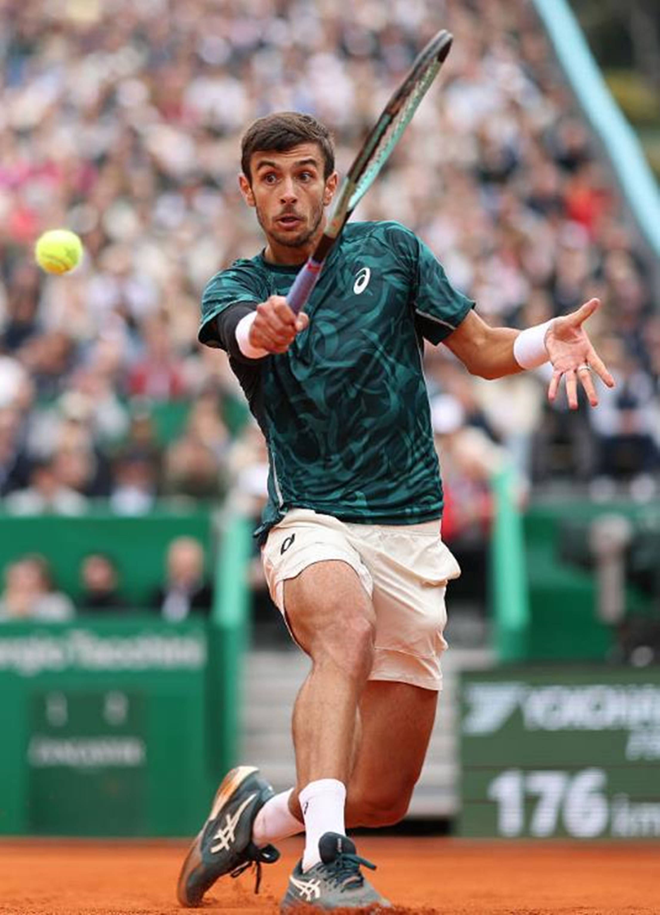 的刻苦拼搏 的刻苦拼搏