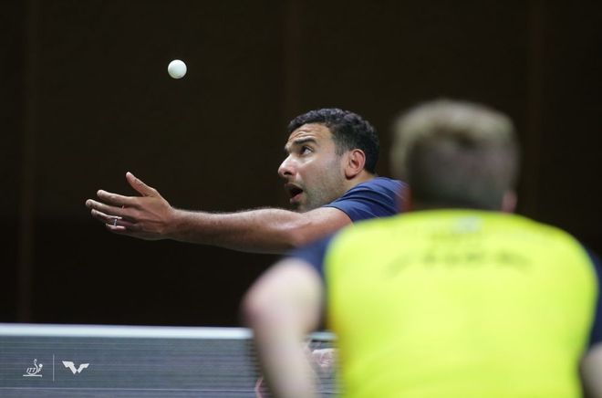 行动和政治 行动和政治