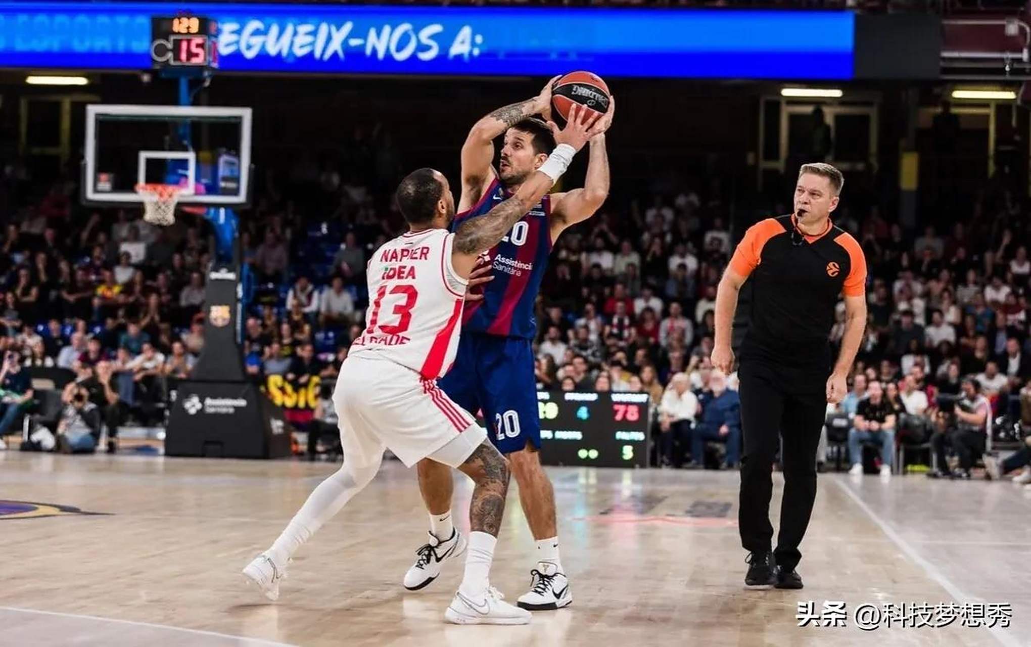 由此可见 由此可见