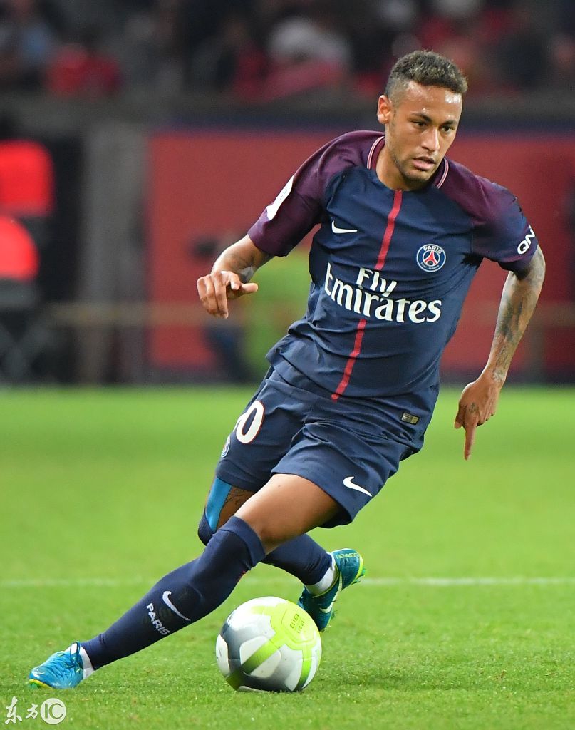 一支成熟的 一支成熟的