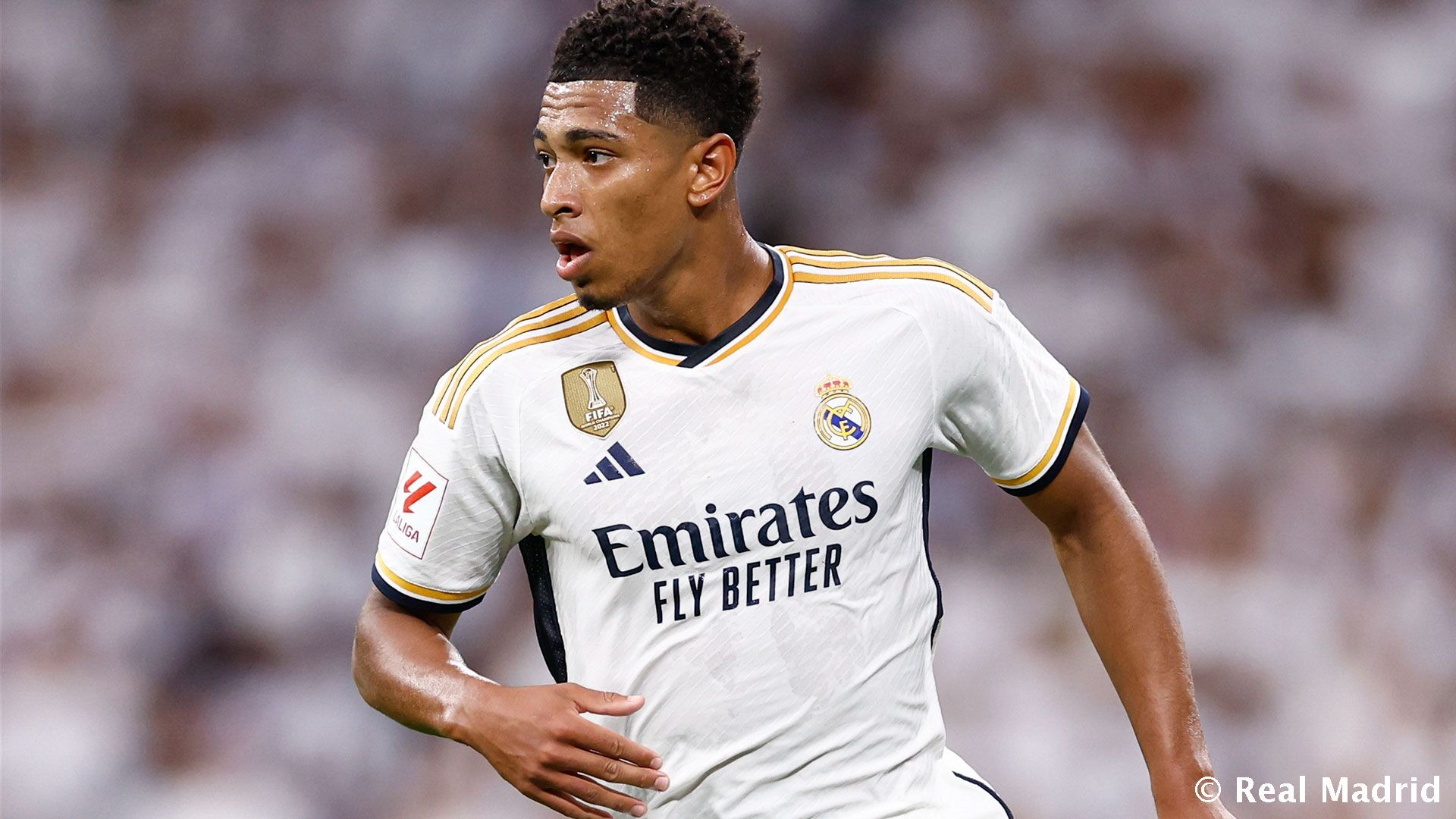 训练负荷 训练负荷